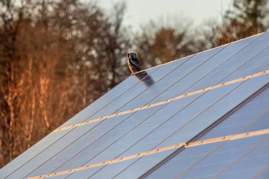 Två män installerar en solpanel från 1KOMMA5° 